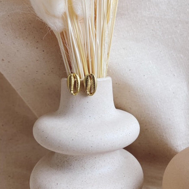 Cowrie Studs