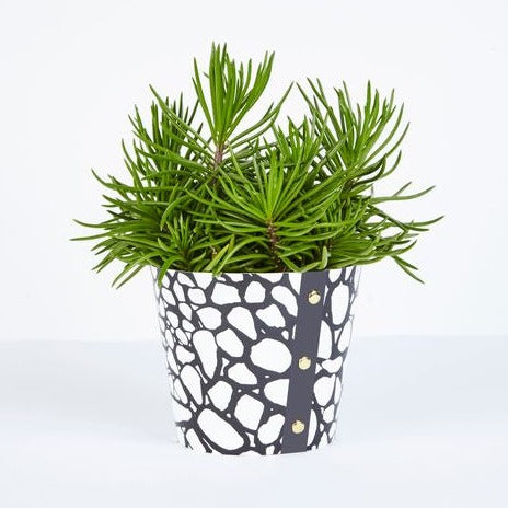 Cobbles Design Plant Pot Cover