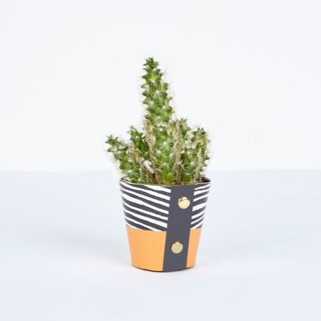 Wood Design Plant Pot Cover