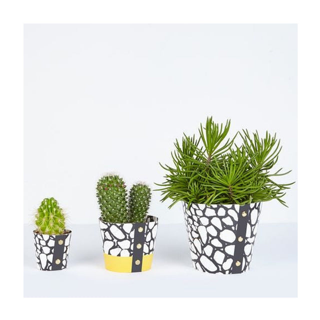 Cobbles Design Plant Pot Cover