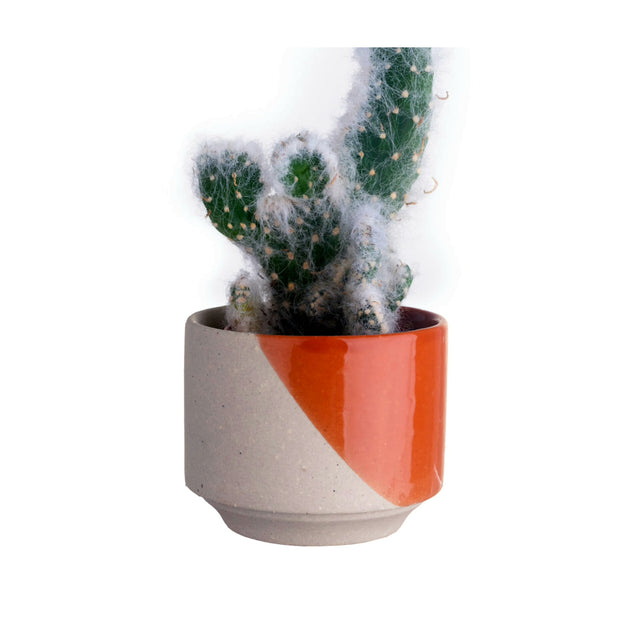 Orange Java Plant Pot