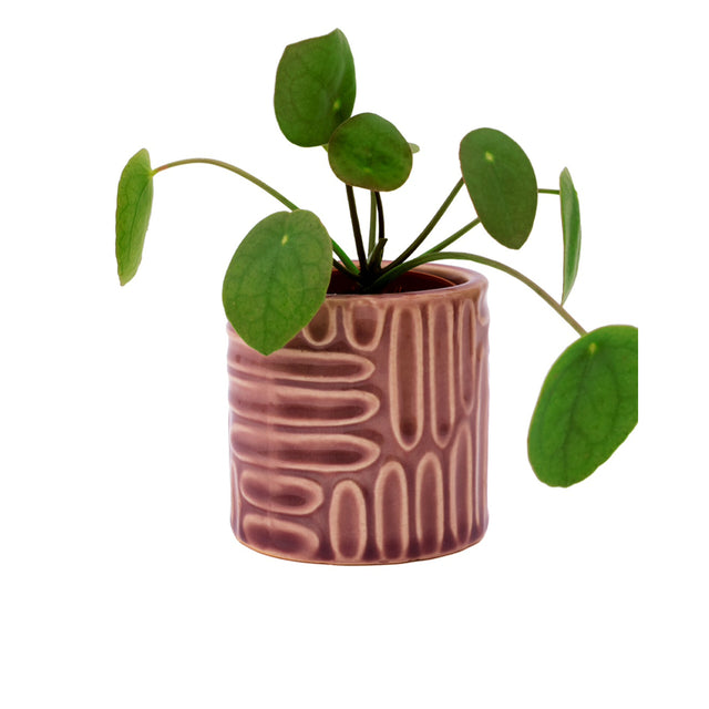 Indented Plant Pot