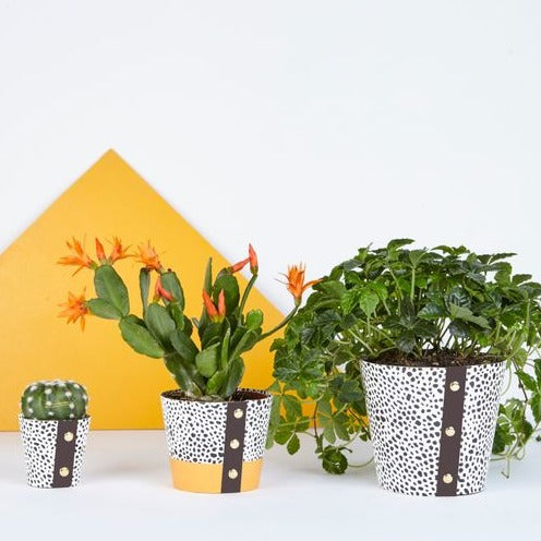 Spores Design Plant Pot Cover