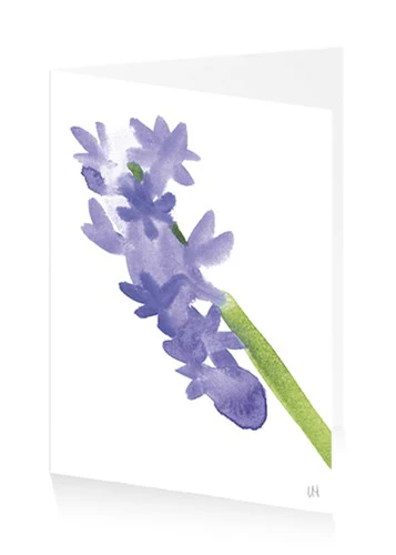 Hyacinth Card